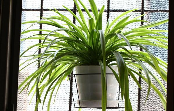 3b87e950352ac65c9e70944af0f2b21193138a96