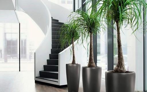 15216242742051793490