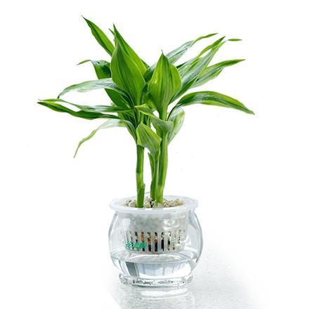 15217825351166242014