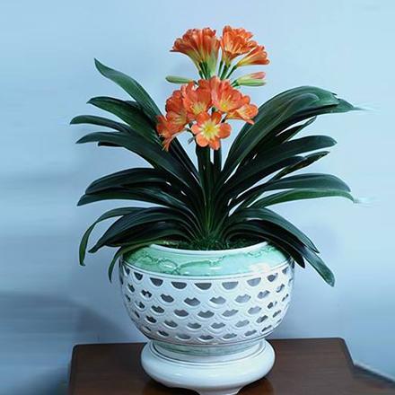 15217905831480019332