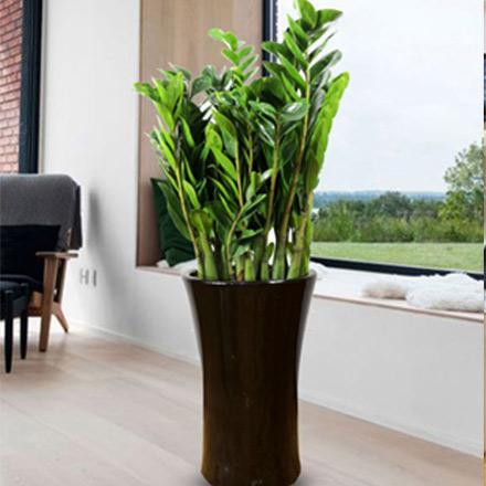 15215266002133150403