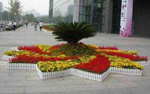 節日花壇10
